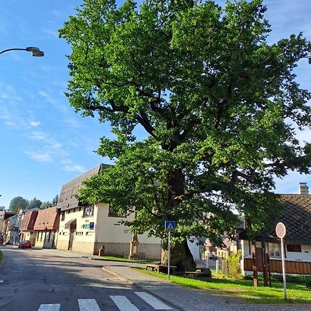 Apartmán U Dubu Jablonné nad Orlicí Kültér fotó