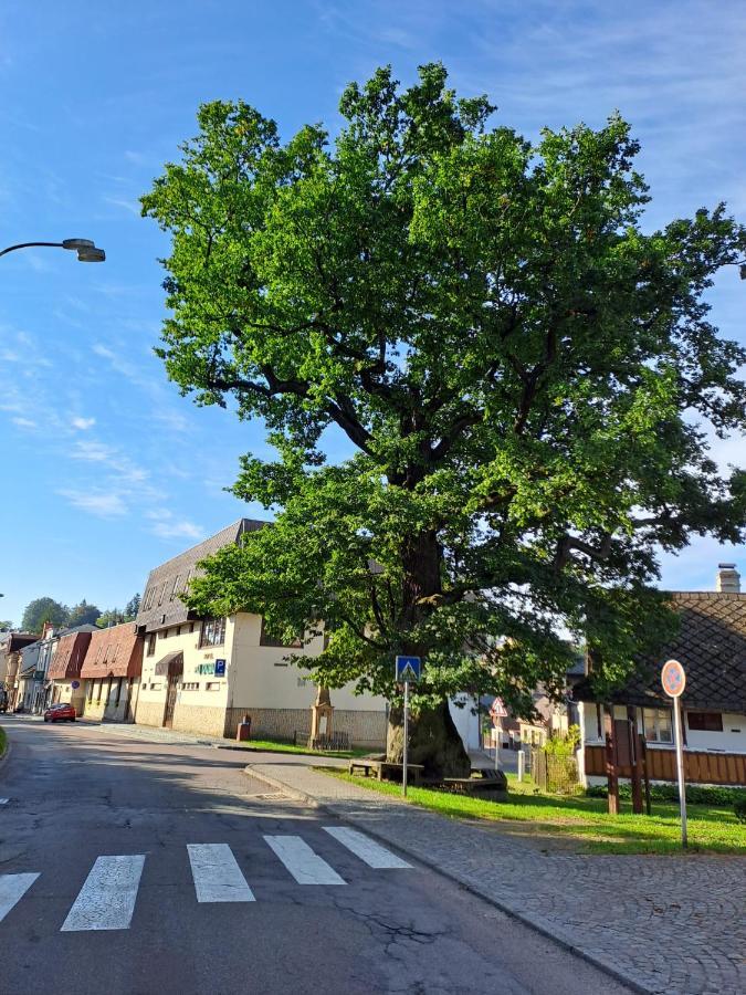 Apartmán U Dubu Jablonné nad Orlicí Kültér fotó